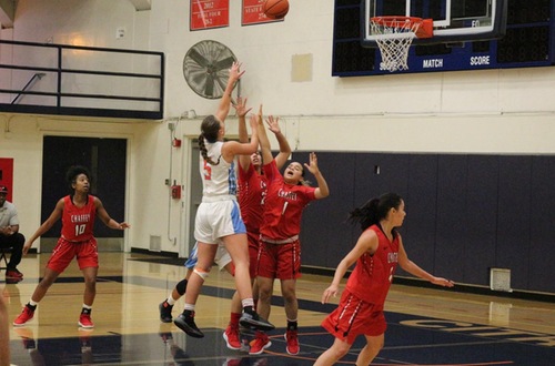 Celeste Fekay shoots over the Panther defense. Image: Treyvon Watts-Hale