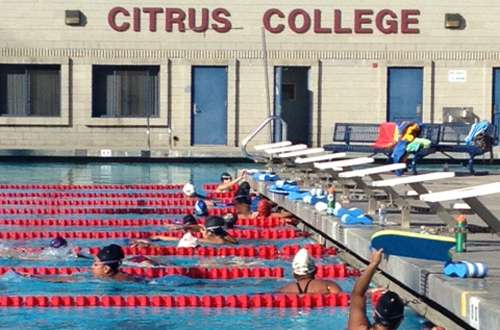 The Citrus College Women's Swim team will be back in the water for the first time in two years this afternoon. Photo By: Andrew Silva
