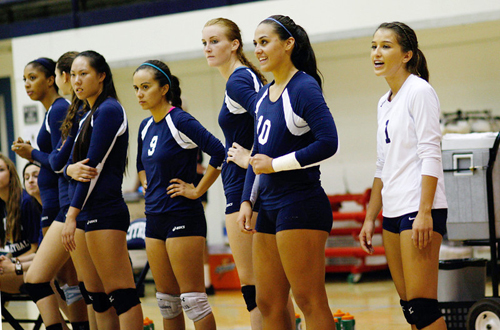 The Citrus College Volleyball team dropped two spots in this week's CCCWVCA State Poll. Photo By: Mike Galvez