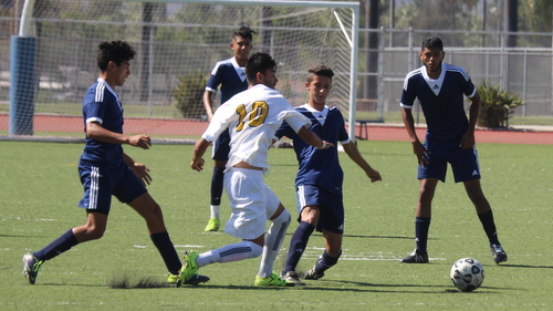 Canyons Put Five on Owls