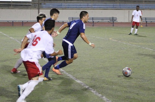 Owls Fly High In 3-1 Win Over Palomar
