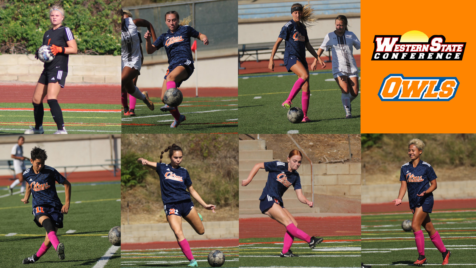 Seven Owls Pick Up All-WSC Honors