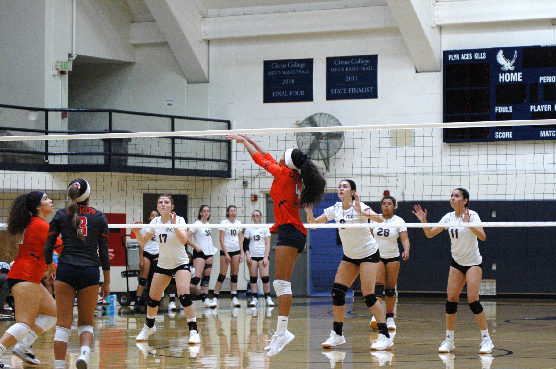 Setter Vanessa Warren dishes a set to the outside. Image: Thomas Garcia