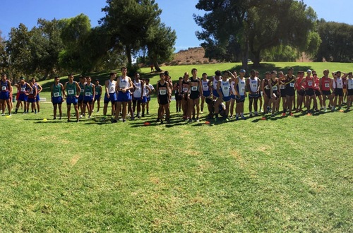 WSC Preview Cross Country Race at Bonelli Park Goes Off Without a Hitch