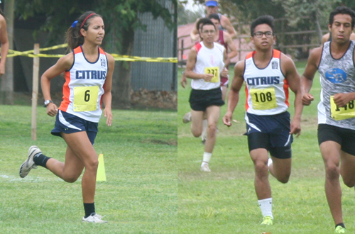 Sophomore Julia Galvez (left) and freshman Jerrick Basallo (right) were key components in Citrus' 6th place finishes this weekend at the Foothill Invite. Photos By: Ariana Cordero