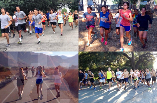 Citrus College Cross Country begins their 2014 season on Friday at the Ventura Invite.