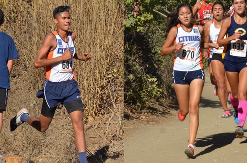 Freshmen Andrew Ballin and Janet Meza-Avila helped lead both the men's and women's cross country teams into 4th and 5th place finishes at the 2014 Western State Conference Championships. Photos Courtesy of Ventura College Athletics