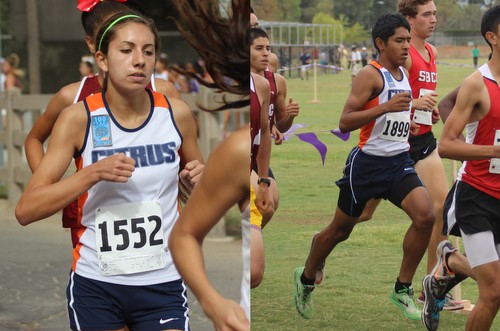 Freshmen Antonella Curinga (left) and Daniel Hernandez-Cabrera (right) were the top two runners for Citrus at last weekend's 2014 Southern California Championships.