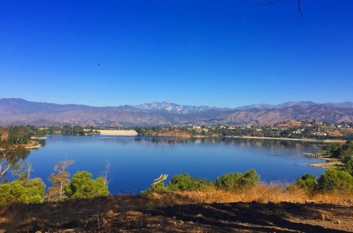 Bonelli Regional Park is a familiar spot for cross country races in Southern California. Photo credit: Alicia Longyear