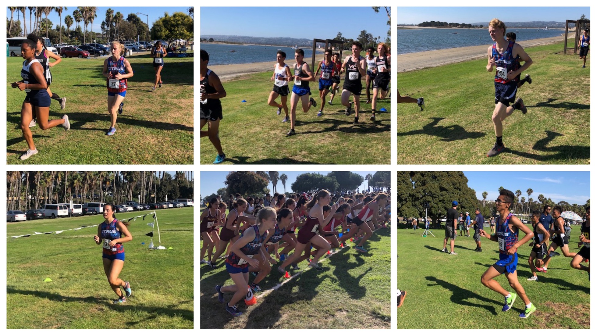 Men's and Women's Cross Country: Owls Make Strides in Stacked Field in San Diego