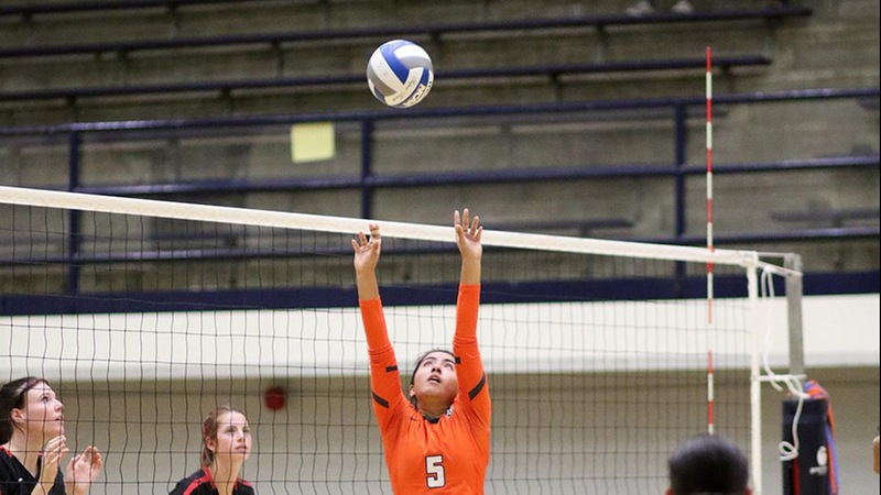 Maritza Sanchez had 29 assists to fuel the Owl offense at AVC. Photo by Mike Galvez.